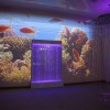 Проекционный дизайн "Виртуальная реальность" базовый комплект 500 анимаций - «globural.ru» - Салават