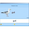 Английский язык. Освоение клавиатуры - «globural.ru» - Салават