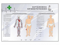 Электрифицированный стенд "Остановка кровотечения" - «globural.ru» - Салават