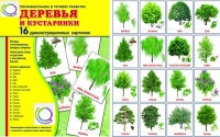 Демонстрационные карточки "Деревья и кустарники" - «globural.ru» - Салават
