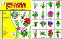 Демонстрационные карточки "Комнатные растения" - «globural.ru» - Салават