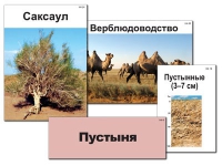 Модель-аппликация "Природные зоны России" - «globural.ru» - Салават