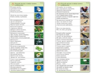Комплект карточек (10) "Обучающий калейдоскоп. Природа" - «globural.ru» - Салават
