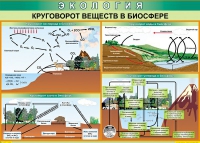 Таблица Круговорот веществ в биосфере 1000*700 винил - «globural.ru» - Салават