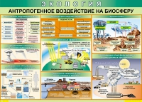 Таблица Антропогенное воздействие на биосферу 1000*700 винил - «globural.ru» - Салават