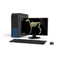 Макет масштабный «Скелет Лошади» Масштаб 1:2 - «globural.ru» - Салават