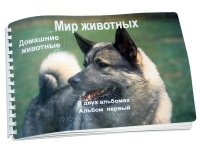 Пособие для слабовидящих "Домашние животные" - «globural.ru» - Салават