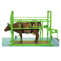 Наглядный макет «Методы и устройства для фиксации КРС» - «globural.ru» - Салават