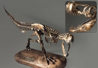 Модель скелета динозавра Tyrannosaurus - «globural.ru» - Салават
