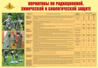 Плакат "Нормативы по радиационной, химической и биологической защите" - «globural.ru» - Салават