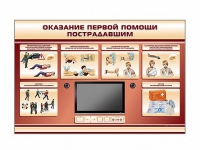 Многофункциональный интерактивный стенд-тренажер "Оказание первой помощи пострадавшим" для учащихся общеобразовательных учреждений - «globural.ru» - Салават