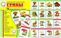 Демонстрационные карточки  "Грибы съедобные и не съедобные" - «globural.ru» - Салават