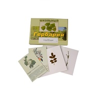 Гербарий "Деревья и кустарники" (22 вида, с иллюстрациями) - «globural.ru» - Салават