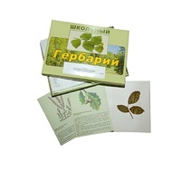 Гербарий "Дикорастущие растения" (30 видов, с иллюстрациями) - «globural.ru» - Салават