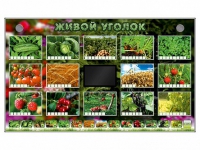 Комплект оборудования "Живой уголок" (растения) - «globural.ru» - Салават