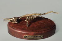 Модель скелета ихтиозавра Ichthyosaurus - «globural.ru» - Салават