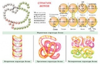 Плакаты и таблицы по общей химии - «globural.ru» - Салават