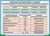 Химия. Сравнение понятий изомер и гомолог. Функциональные группы классов органических веществ (винил) - «globural.ru» - Салават