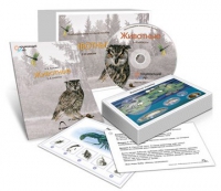 Комбинированное наглядное пособие «Животные» - «globural.ru» - Салават