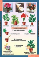 Окружающий мир 1 класс (комплект таблиц) - «globural.ru» - Салават