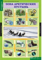Окружающий мир 4 класс (комплект таблиц) - «globural.ru» - Салават