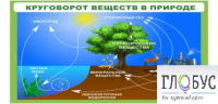 Стенд "Круговорот веществ" - «globural.ru» - Салават