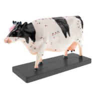 Электрифицированный макет коровы на каркасе - «globural.ru» - Салават