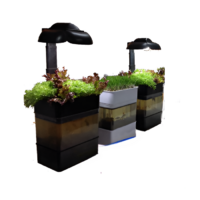 Учебная установка "Аквапоника"  - «globural.ru» - Салават