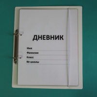 Дневник школьника (с полным набором карточек) - «globural.ru» - Салават