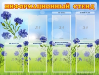 Стенд информационный с 7 карманами - «globural.ru» - Салават