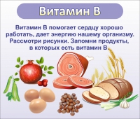 Стенд "Витамин В" - «globural.ru» - Салават