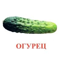 Карточки Домана "Овощи-Зелень-1" - «globural.ru» - Салават