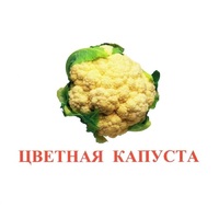 Карточки Домана "Овощи-Зелень-2" - «globural.ru» - Салават