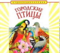 CD "Аудиоэнциклопедия. Городские птицы" - «globural.ru» - Салават