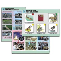 Комплект таблиц для  начальной школы "Окружающий мир. Экология" - «globural.ru» - Салават