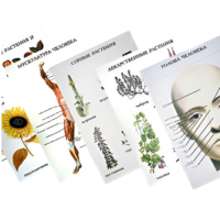 Таблицы по природоведению 1-3 класс - «globural.ru» - Салават