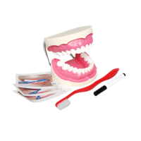 Игровой комплект "Чистим зубы" - «globural.ru» - Салават