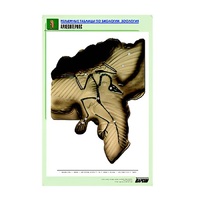 Рельефная таблица "Археоптерикс" (формат А1, матовое ламинир.) - «globural.ru» - Салават