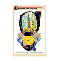 Рельефная таблица "Долька печени. Макро-микростроение" (формат А1, матовое ламинир.) - «globural.ru» - Салават