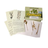 Гербарий "Систематика растений. Семейство Бобовые. Злаки" (раздаточный) - «globural.ru» - Салават