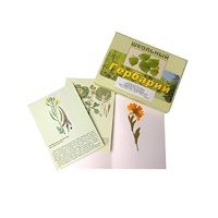 Гербарий "Систематика растений. Семейство Пасленовые. Крестоцветные. Сложноцветные" (раздаточный) - «globural.ru» - Салават