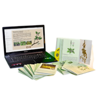 Гербарий натурально-интерактивный "Дикорастущие растения" - «globural.ru» - Салават