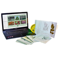 Гербарий натурально-интерактивный "Лекарственные растения" - «globural.ru» - Салават