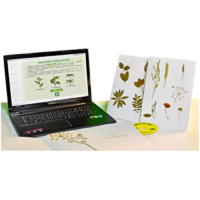 Гербарий натурально-интерактивный "Морфология растений" - «globural.ru» - Салават