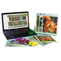 Гербарий натурально-интерактивный "Основные группы растений. Грибы. Лишайники" - «globural.ru» - Салават