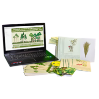 Гербарий натурально-интерактивный "Растительные сообщества. Лес" - «globural.ru» - Салават