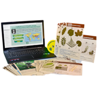 Гербарий натурально-интерактивный к курсу основ общей биологии - «globural.ru» - Салават