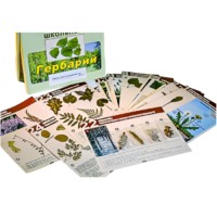 Гербарий к курсу основ общей биологии - «globural.ru» - Салават