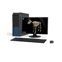 Макет масштабный «Скелет Коровы» Масштаб 1:2 - «globural.ru» - Салават