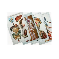 Таблицы рельефные - «globural.ru» - Салават